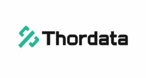ThorData.com Review 2025 – The Complete Professional Guide
