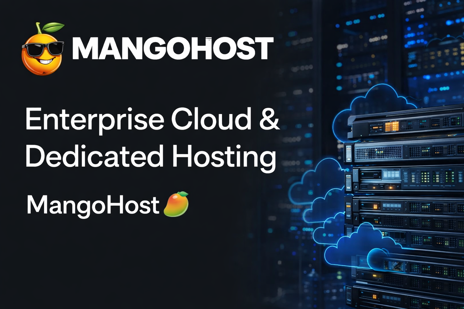 MangoHost enterprise hosting solutions